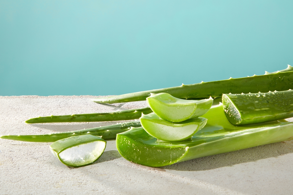 sliced aloe vera leaves