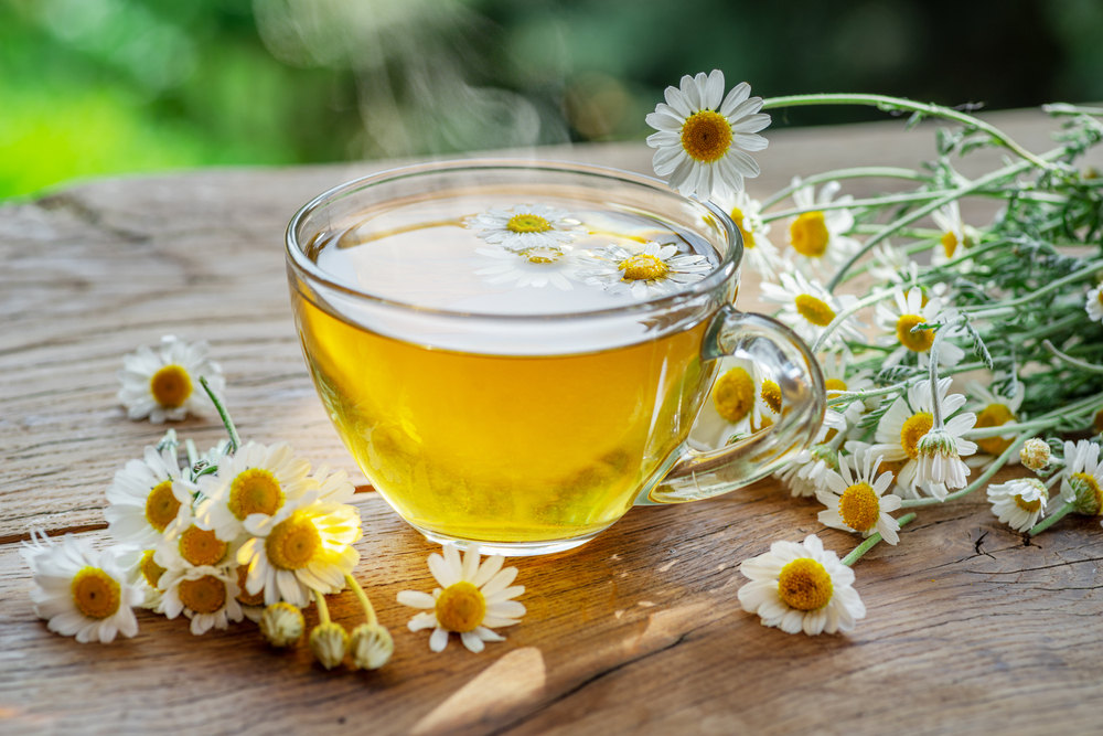 cup of chamomile tea surrounded by chamomile flowers